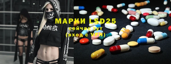 гашик Аркадак