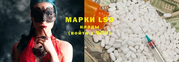 гашик Аркадак
