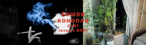 гашик Аркадак