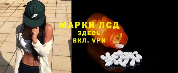 стафф Арсеньев