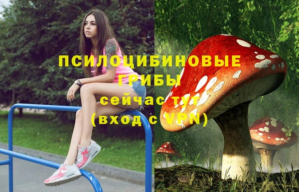 гашик Аркадак