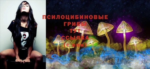 гашик Аркадак