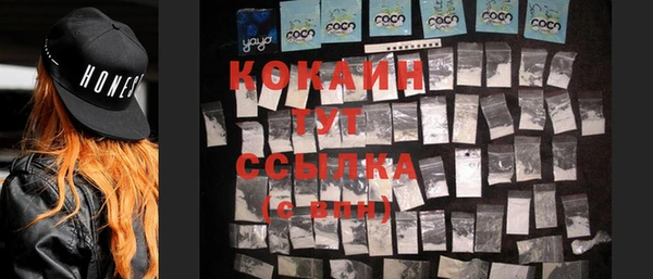 гашик Аркадак