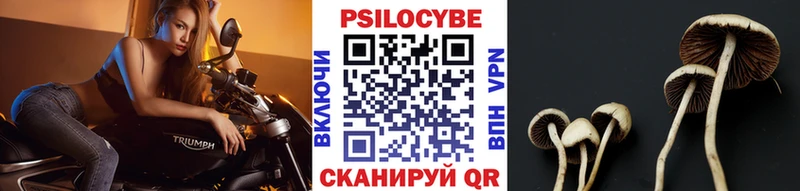 Псилоцибиновые грибы прущие грибы  Шарыпово 